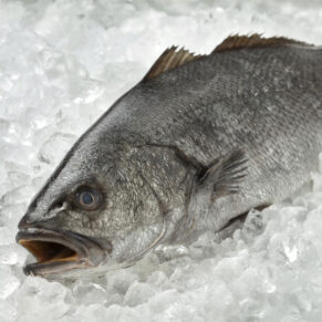 Mare Fish - Tienda online de Pescado y Marisco a domicilio. Pescado y Marisco fresco. Pescadería online.